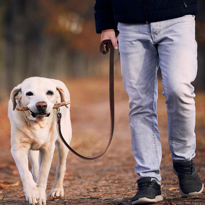 Premium top layer cowhide leather texture of the QUMY pet lead