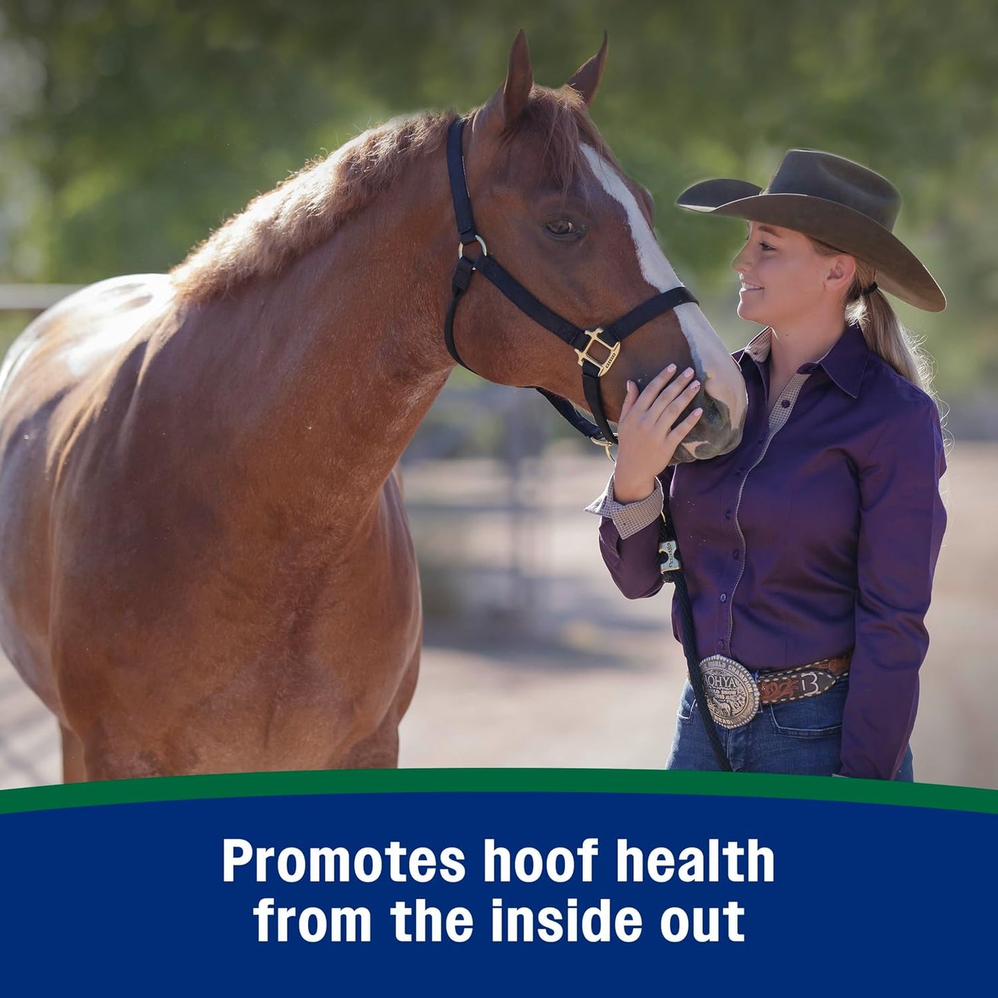 Farnam horse health bucket showing ingredients and nutritional analysis label