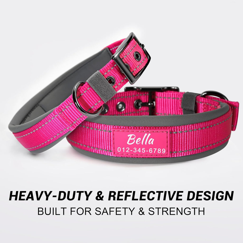 Detailed view of the durable metal buckle on Dazner collar
