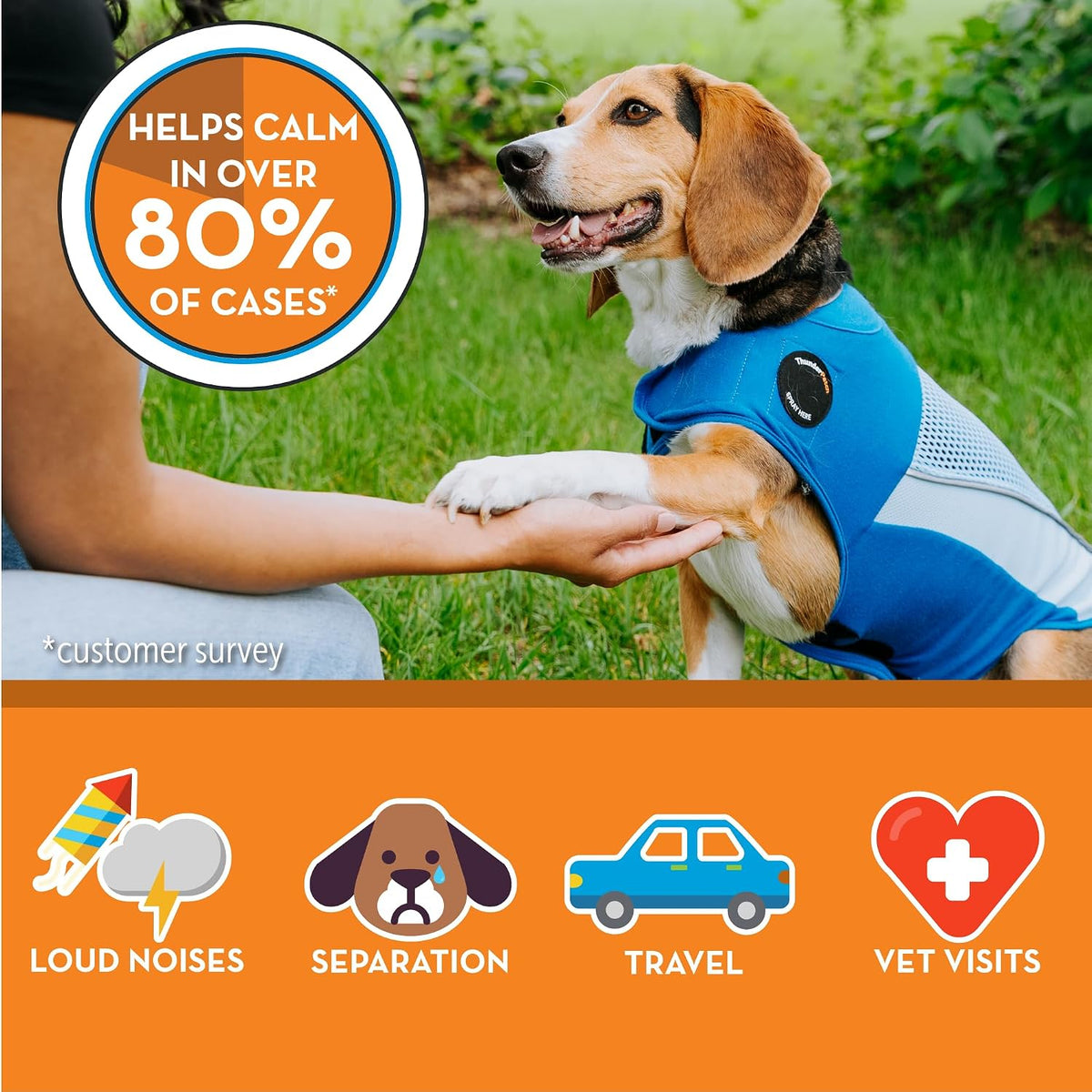 Dog wearing breathable Thundershirt calming vest