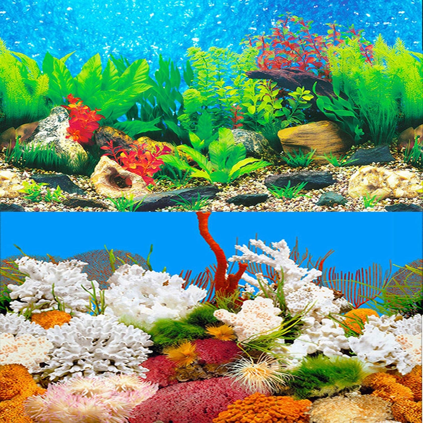 ELEBOX Aquarium Background Poster, Undersea Water Plants Sea Anemone Coral Aquarium Decor Background Double Sides Fish Tank Background Sticker Decorations 10 Gallon 20 Gallon Tank 11.8"x24.4" - Image 10