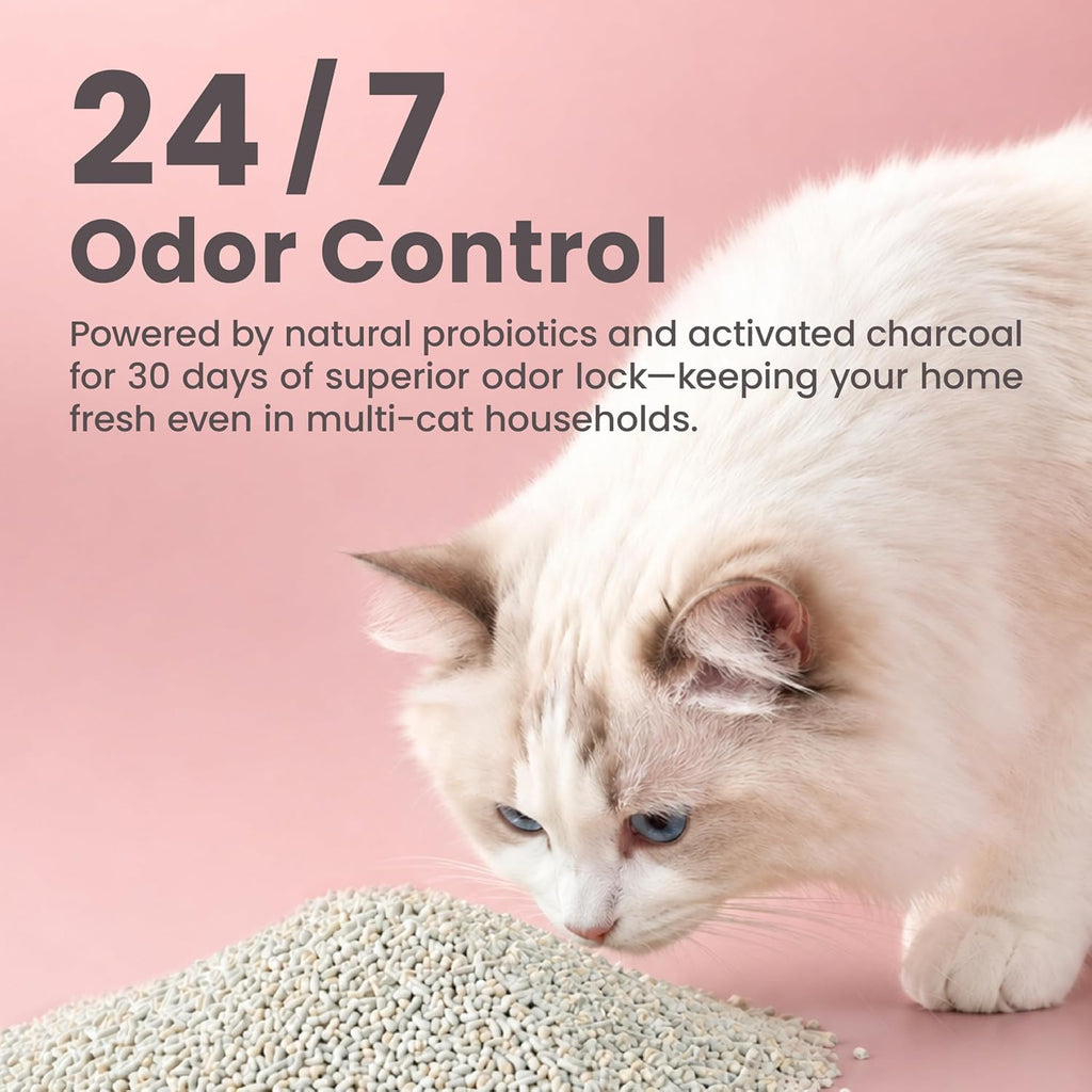 Authentic USA-imported Lady N cat litter packaging detailed information.