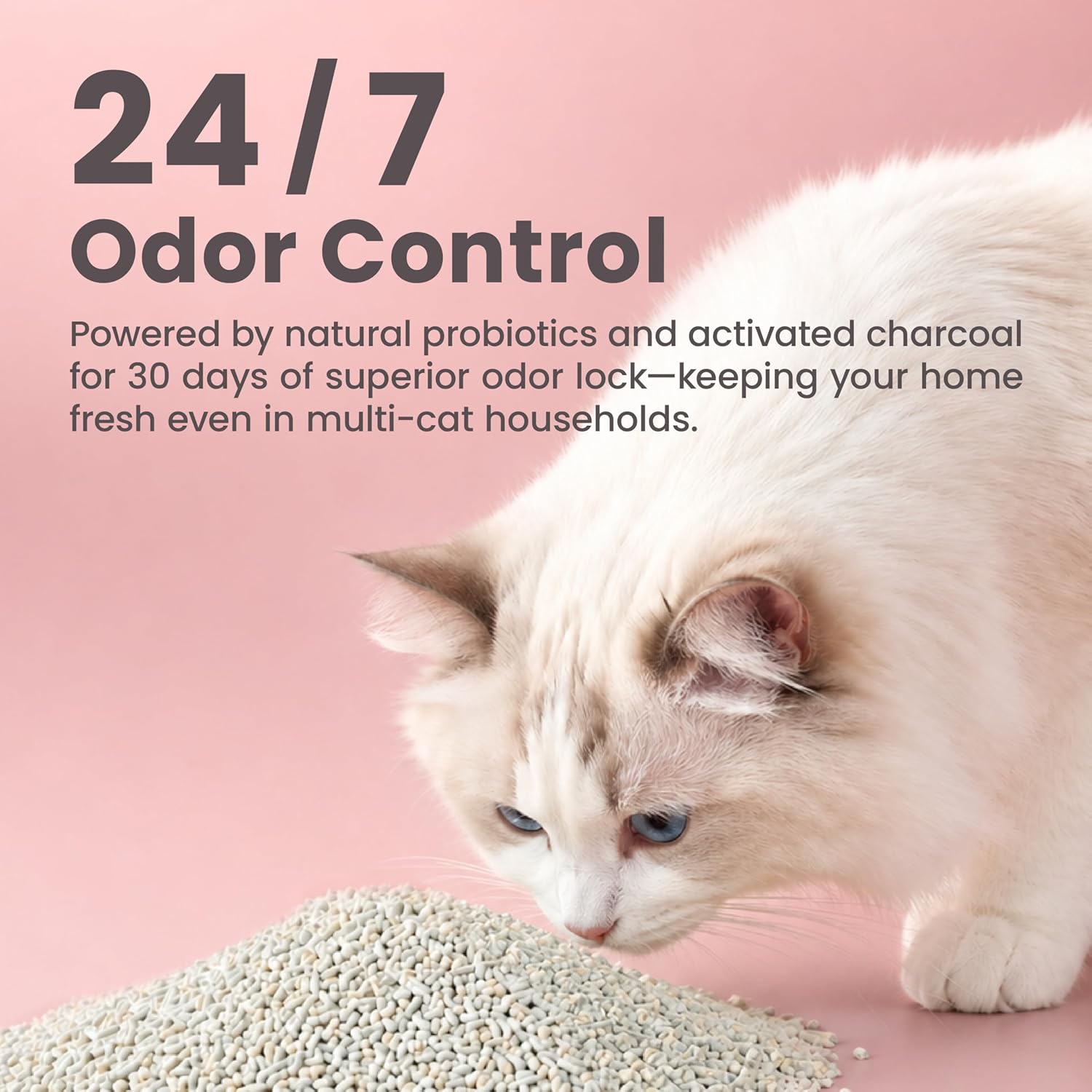 Authentic USA-imported Lady N cat litter packaging detailed information.