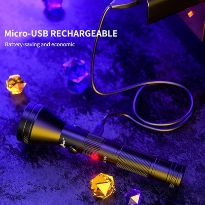 PEETPEN ultraviolet torch detecting dried pet urine stains on a living room carpet.