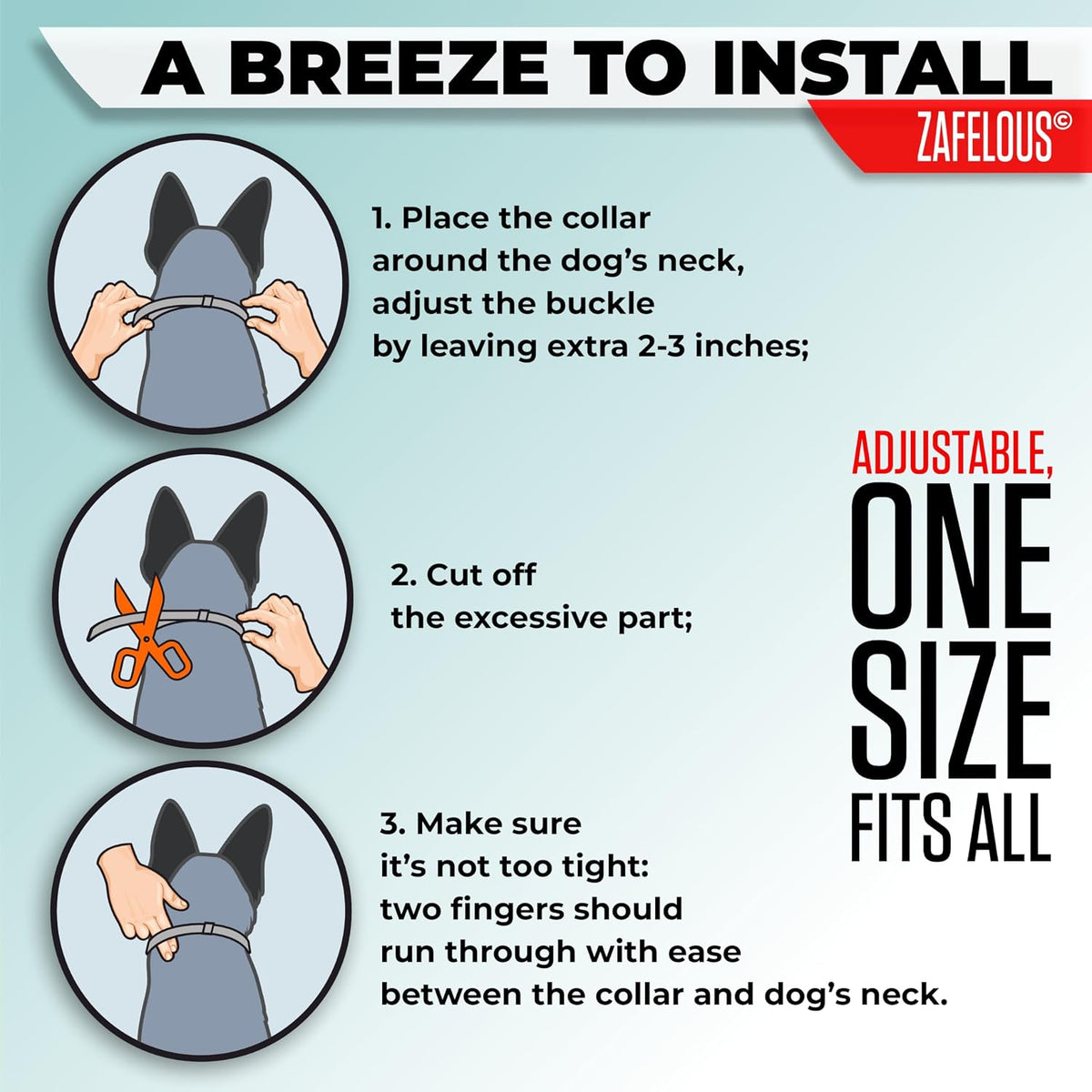 Waterproof flea collar detail for outdoor dog protection