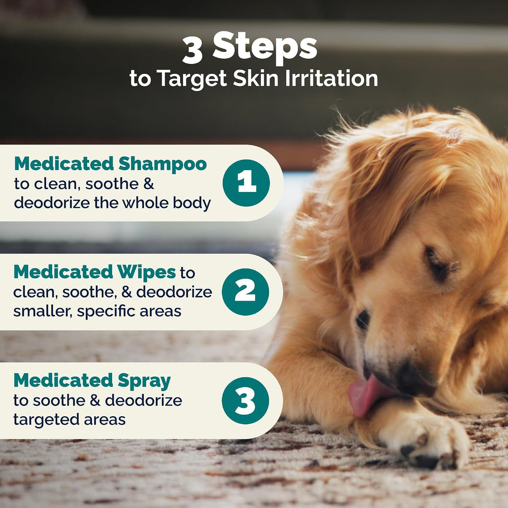 Application of Dermabliss medicated spray on dog paws and skin folds