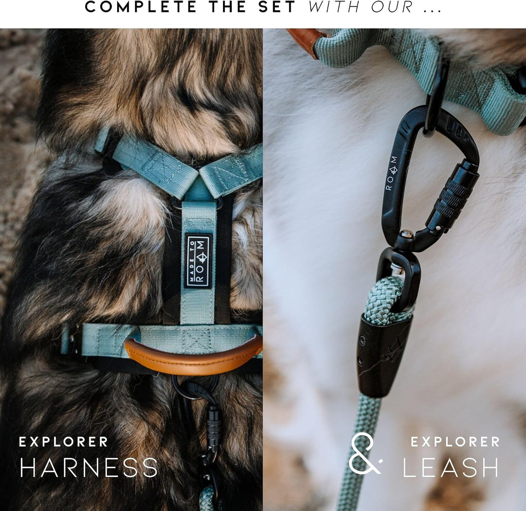 Made To Roam Colorado Nightsky collar flat lay perspective