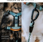 Made To Roam Colorado Nightsky collar flat lay perspective