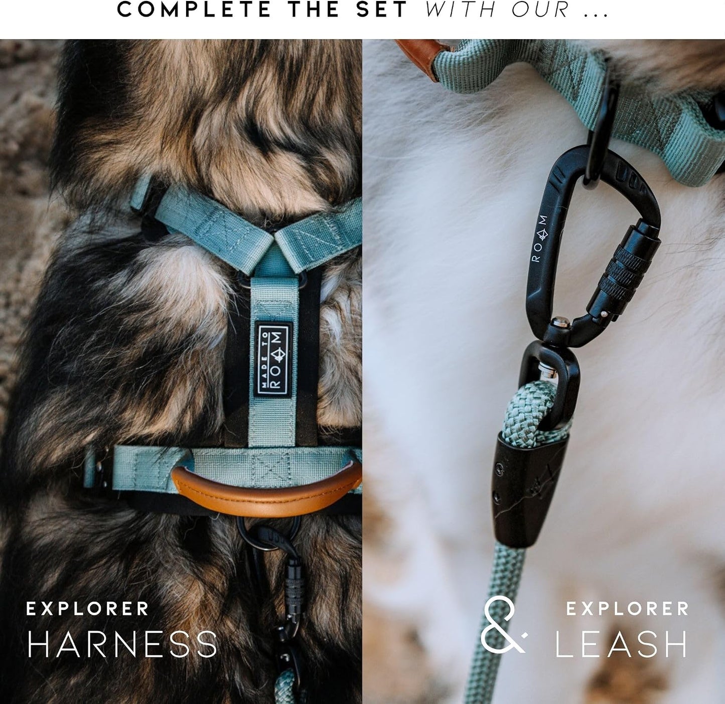 Made To Roam Colorado Nightsky collar flat lay perspective