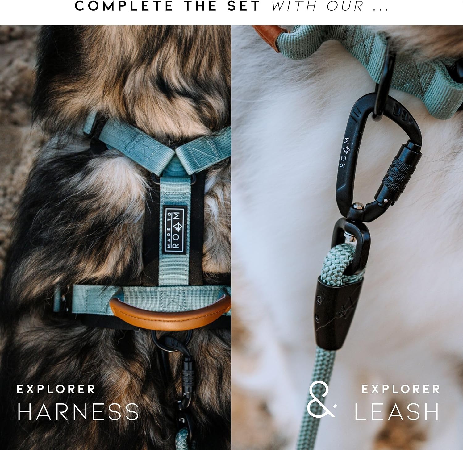 Made To Roam Colorado Nightsky collar flat lay perspective
