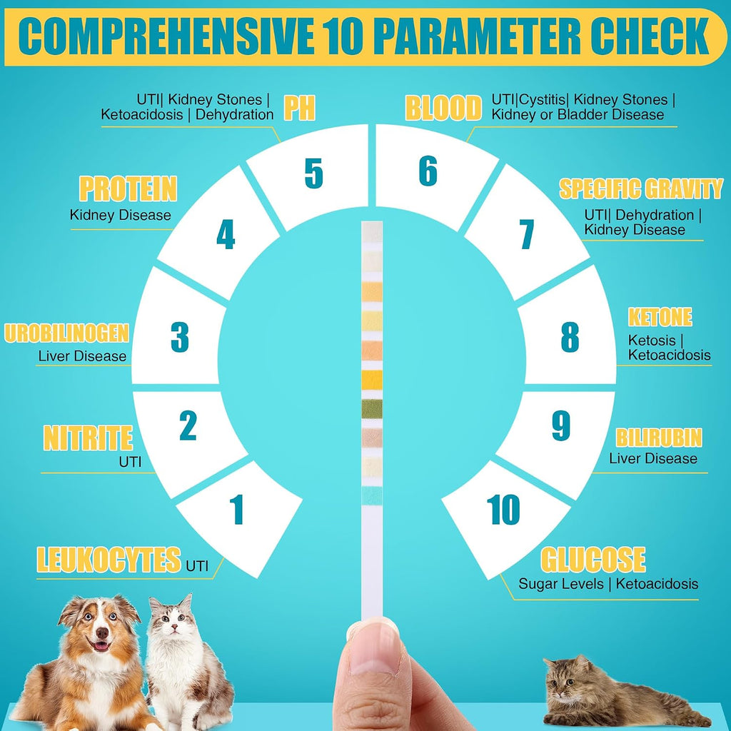 Pet parents dipping a veterinary urine test strip into a sample container for rapid testing