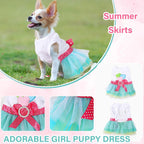 Chihuahua puppy showcasing the lightweight summer pet outfit back view