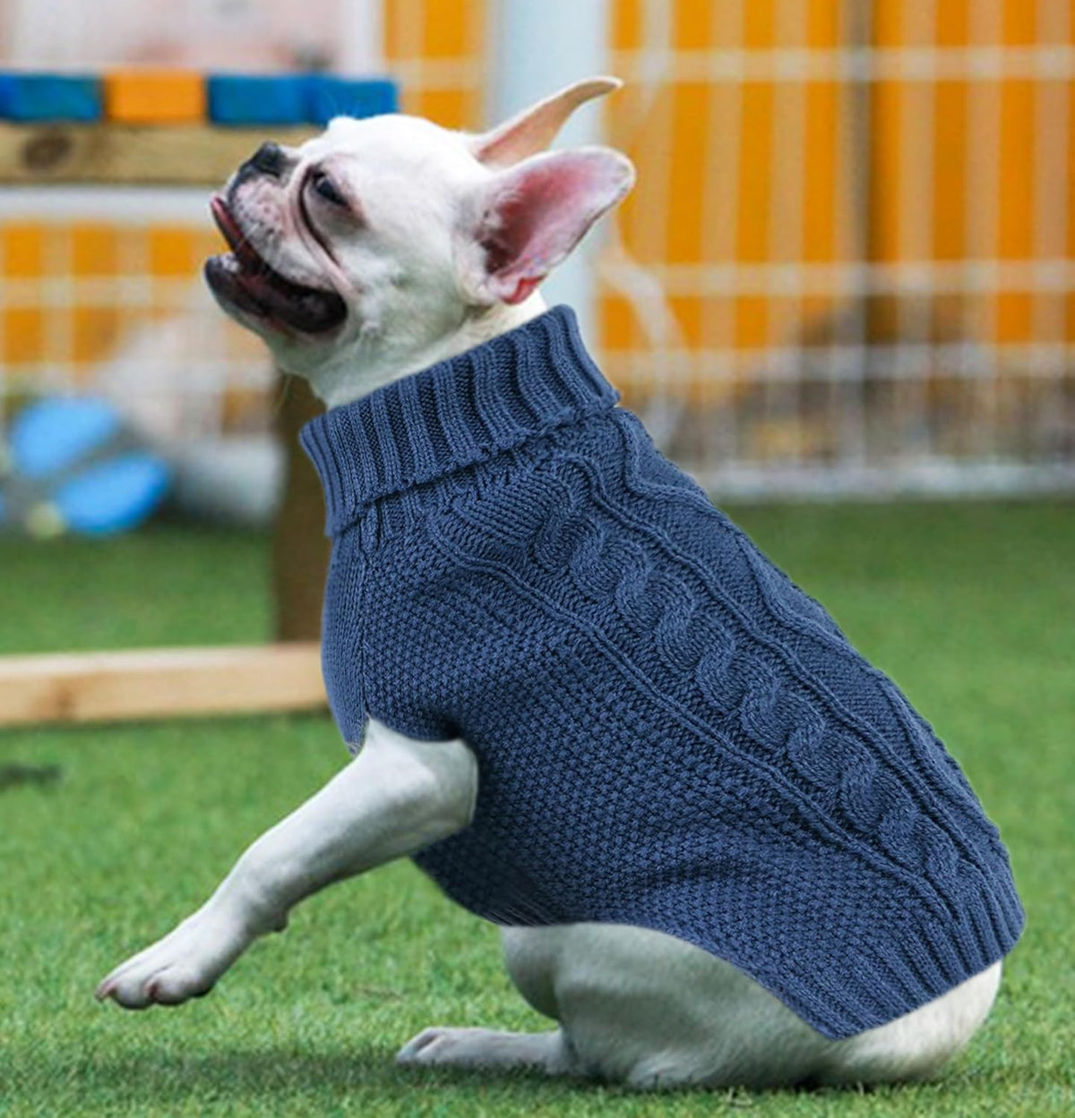 Viunimo chihuahua yorkie winter clothes pullover apparel blue