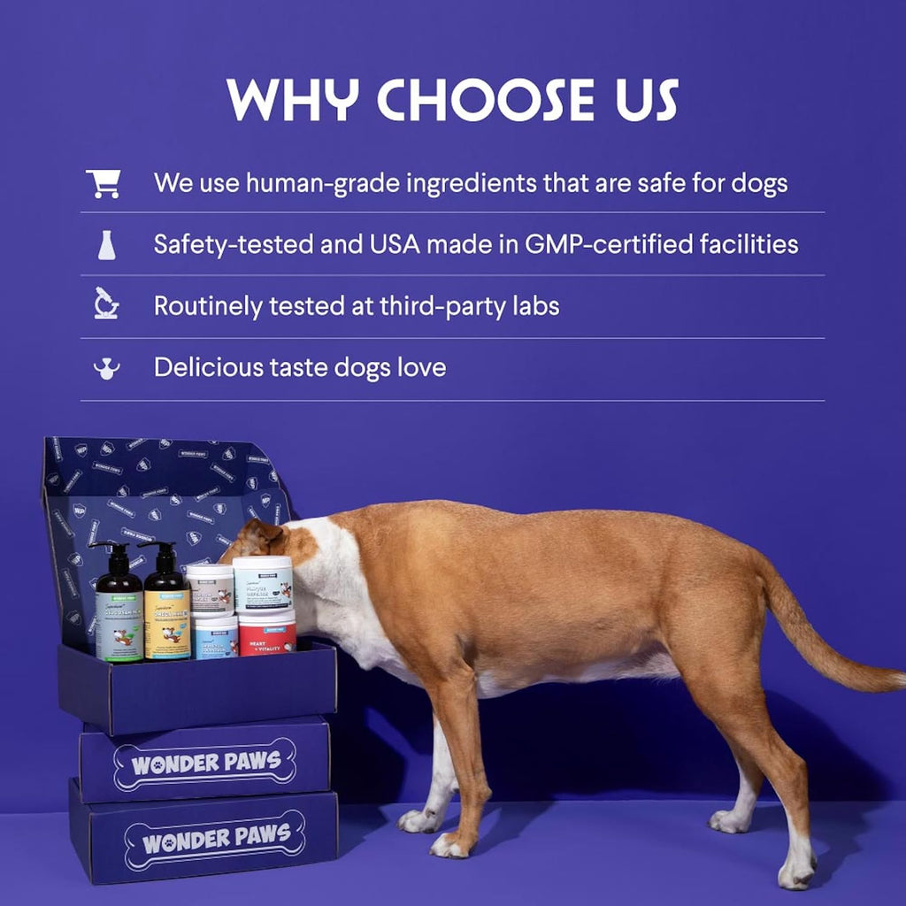 Wonder Paws dog skin and coat health formulation bottle with authentic import label.