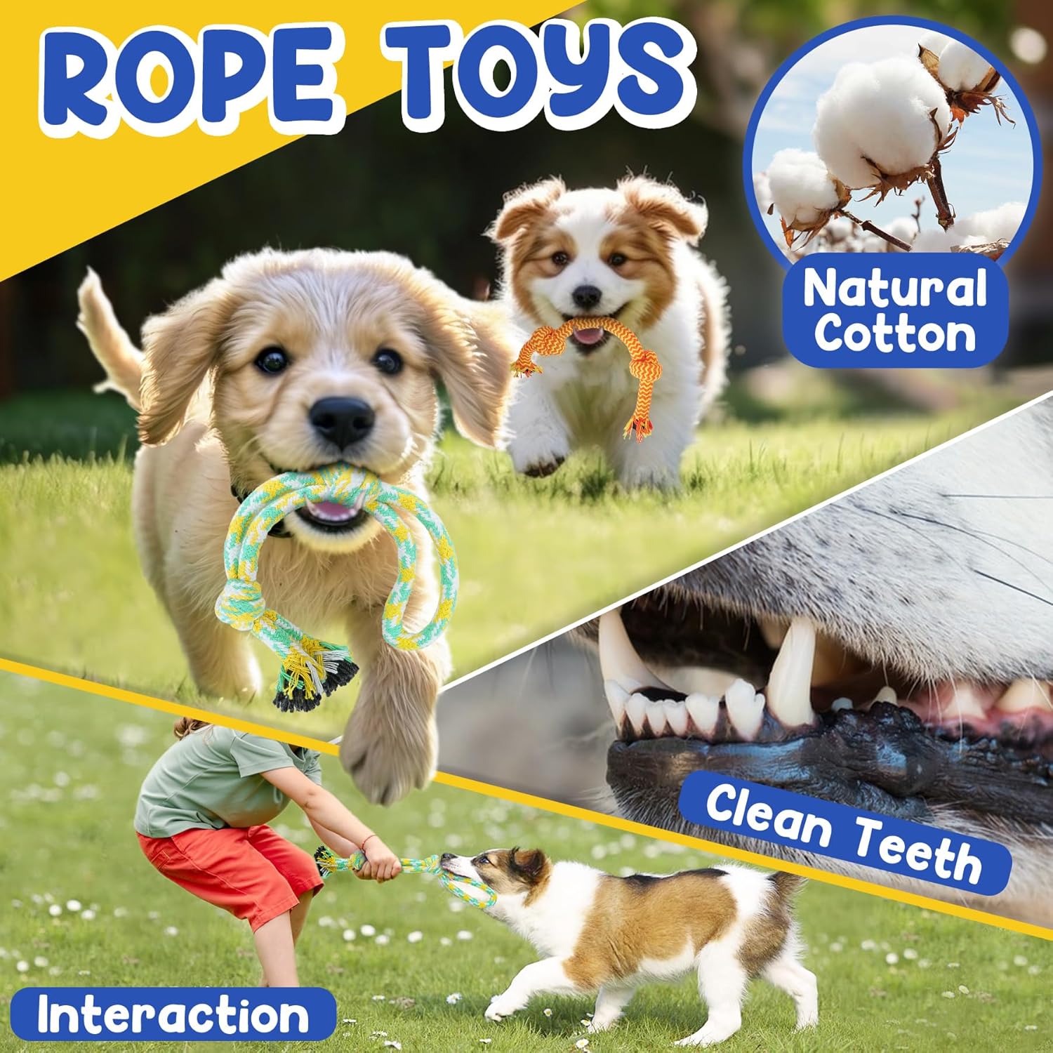 Interactive treat dispensing rubber ball for dogs