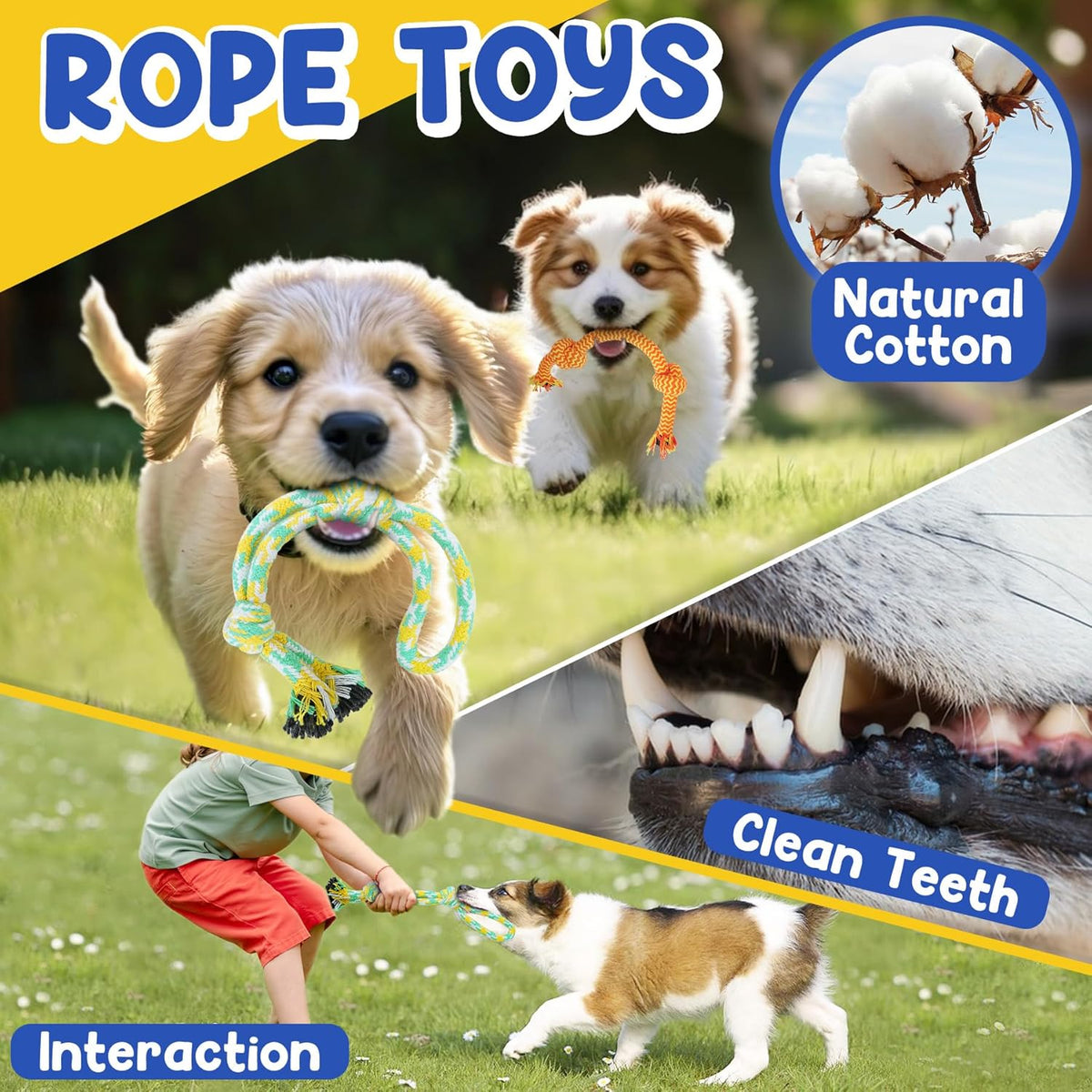 Interactive treat dispensing rubber ball for dogs