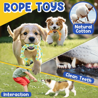 Interactive treat dispensing rubber ball for dogs
