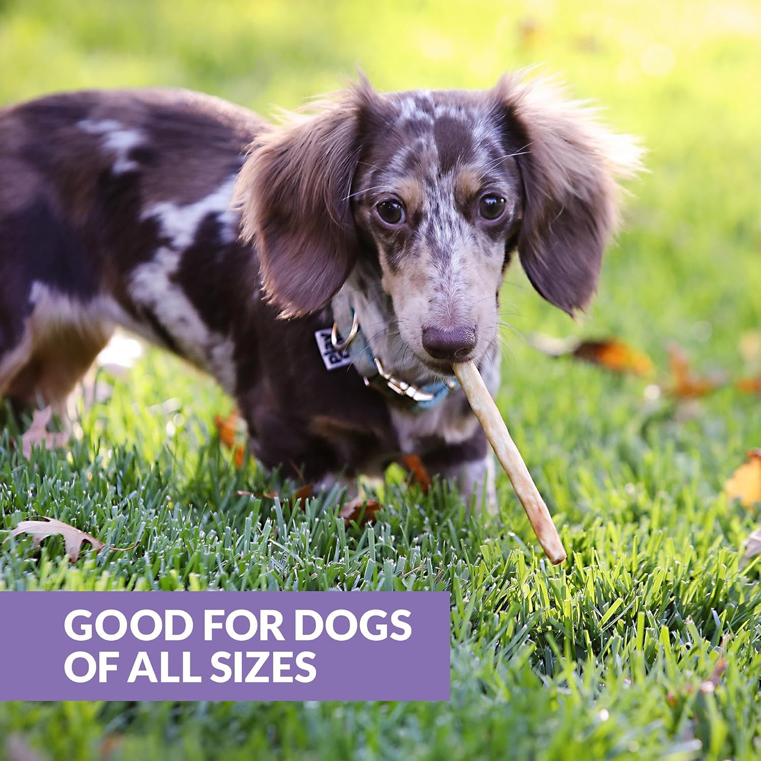 Premium imported USA pet treats for joint and dental health protection featuring 25 count pack
