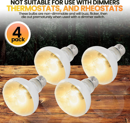 Calpalmy imported reptile heating equipment showing four individual bulbs