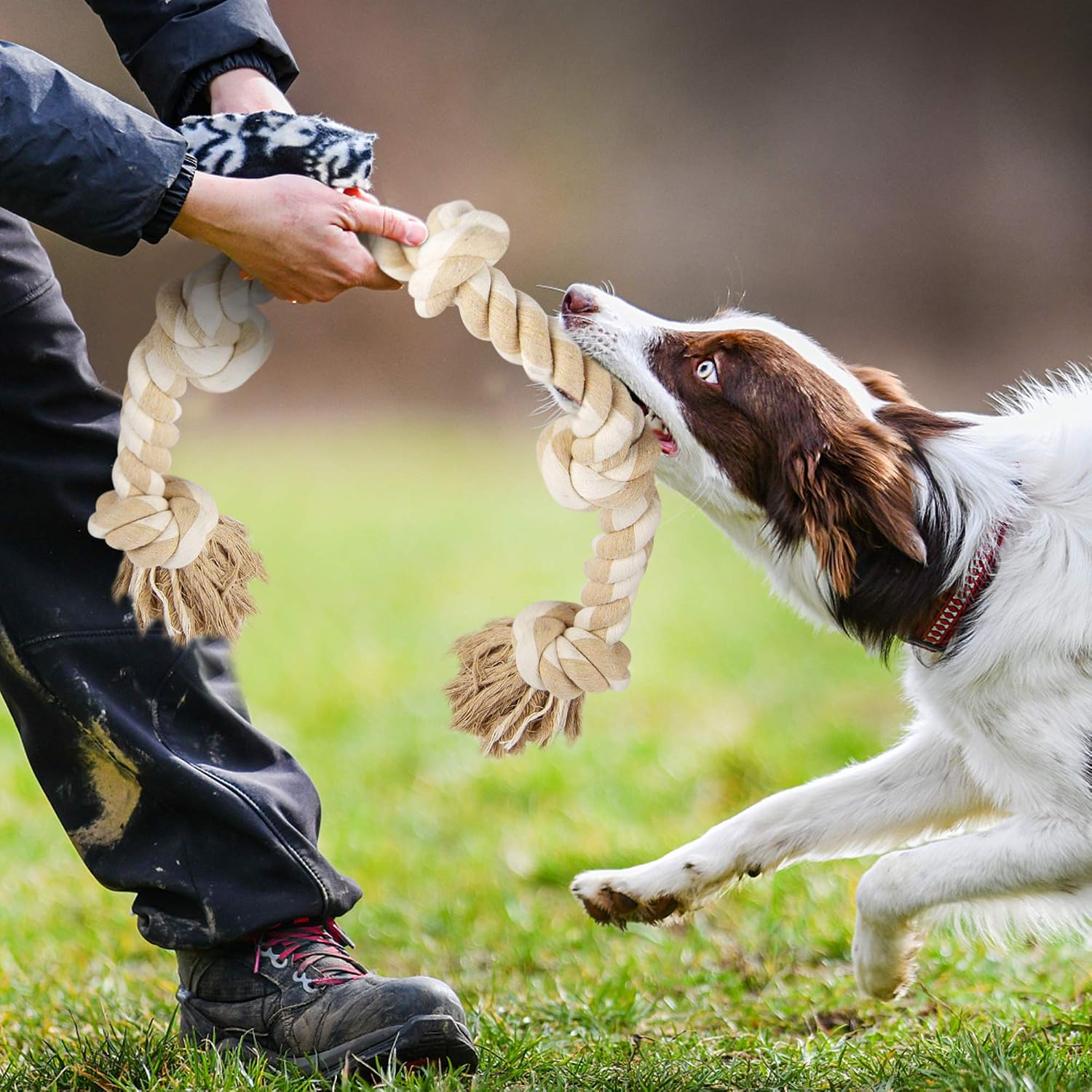 Fida imported pet accessories displaying the thick 5 knot canine dental chew rope.