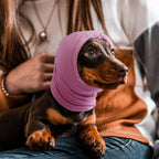 Nanaki soft calming cap for dogs noise proof headphones alternative