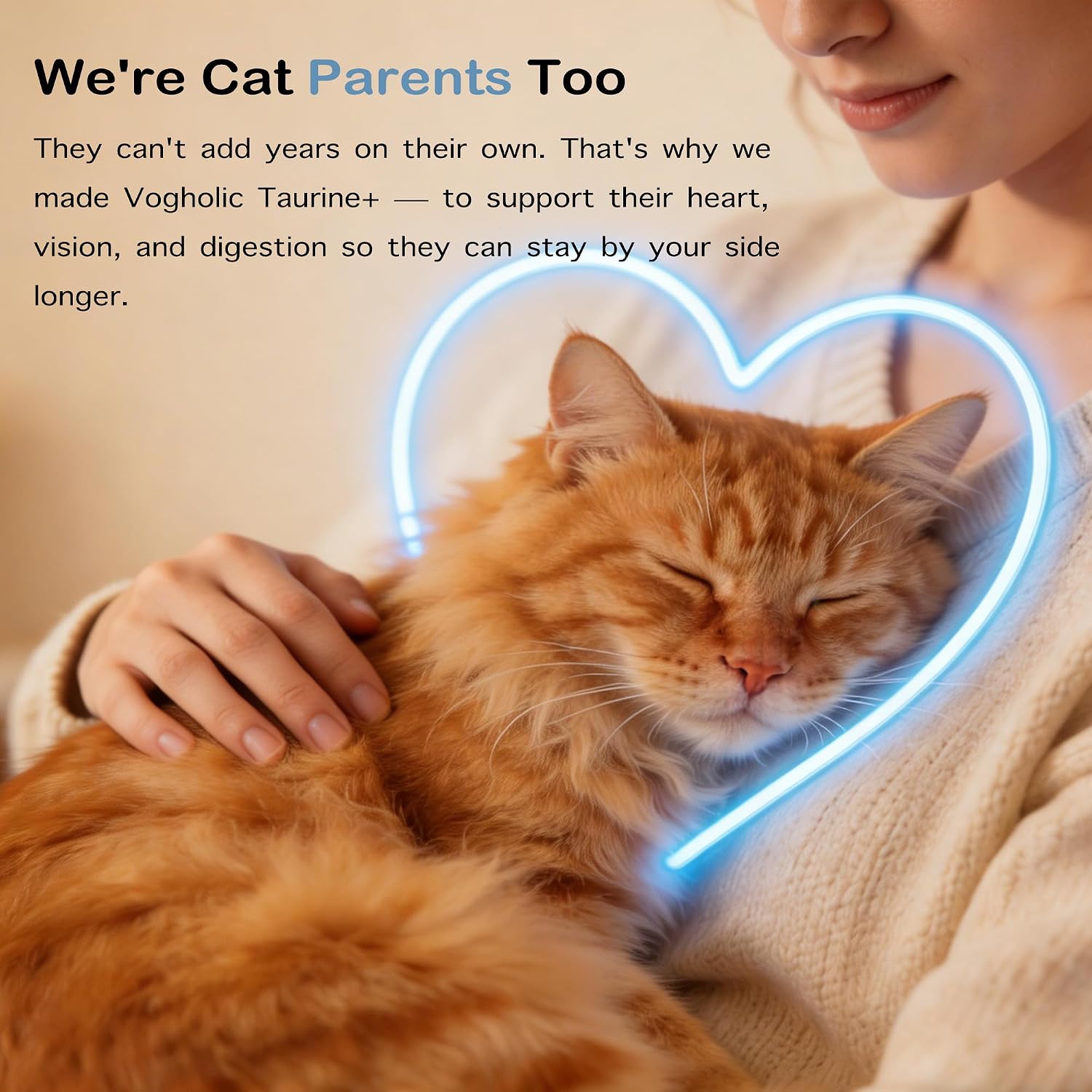 Heart and vision support taurine supplement for adult cats