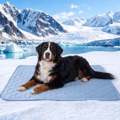 PatiencET Washable Pee Pads for Dogs, 18'' x 24" Reusable Puppy Pads with Super Absorbent for Pet Training, Housebreaking and Incontinence, 2 Pack Puppy Potty Pads with Waterproof Bottom - Image 10