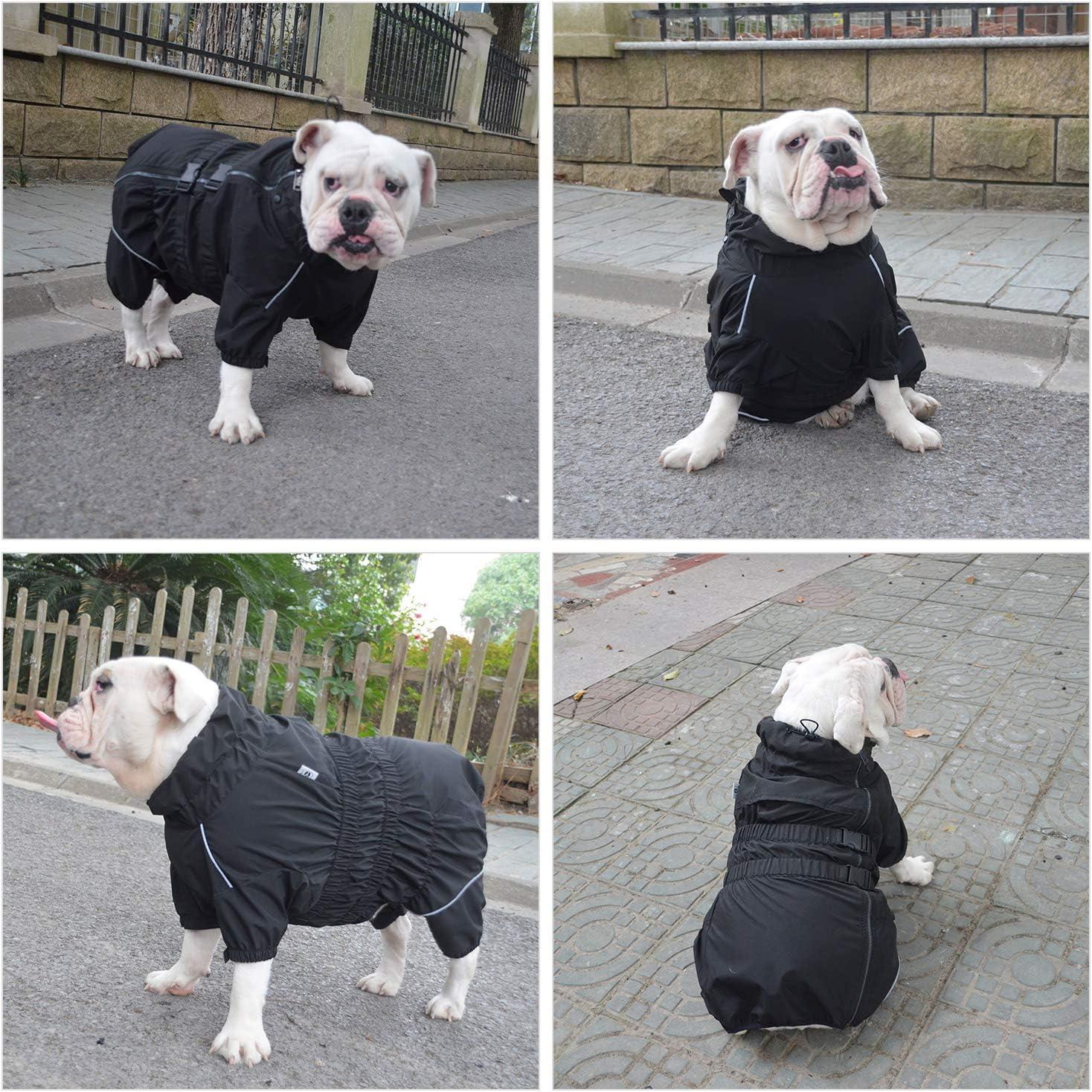Breathable composite fabric pet jacket with mud protection belly coverage
