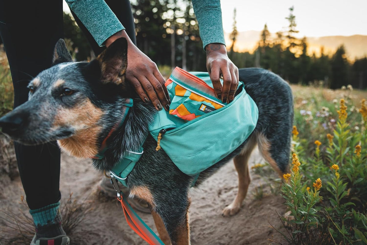 Hanging loop attachment on the back of the blue mountain pattern dog bowl