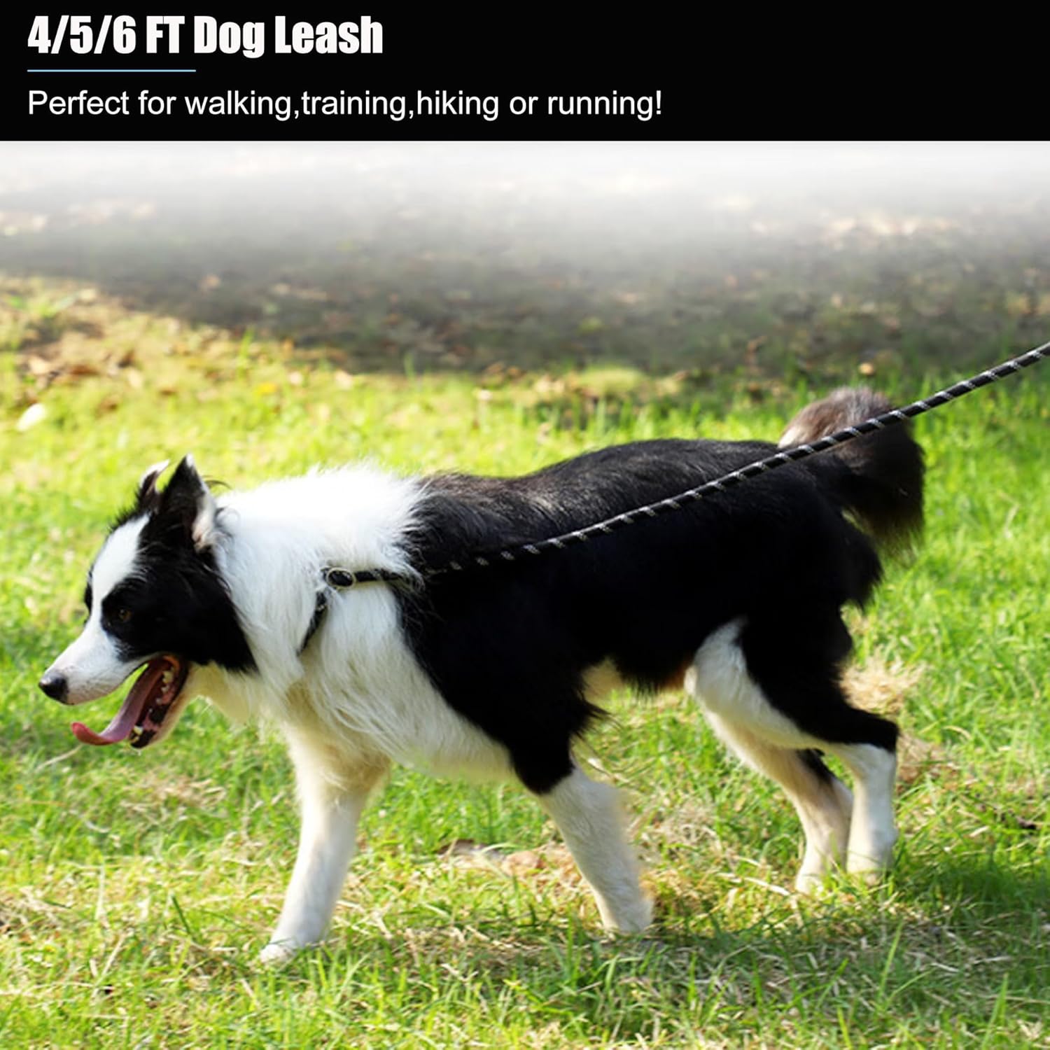 Premium imported reflective pet safety walking rope