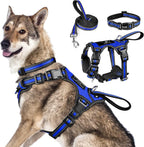 WINSEE Pet Harness Collar and Leash Set, All-in-one Reflective Dog Harness No Pull with Adjustable Buckles for Puppies, Small, Medium, Large, and Extra-Large Dogs (Large, Pink) - Image 9