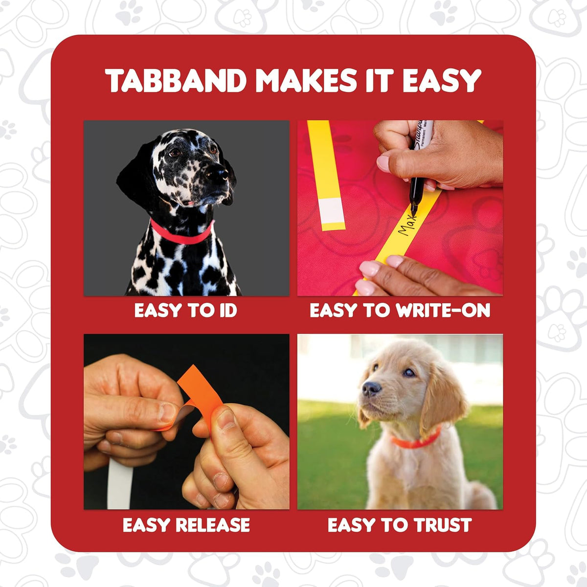 Waterproof writable dog and cat identification band demonstrating smudge resistant surface
