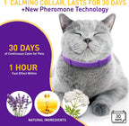 Four pack of PetAtlas calming collars laid out with dimensions