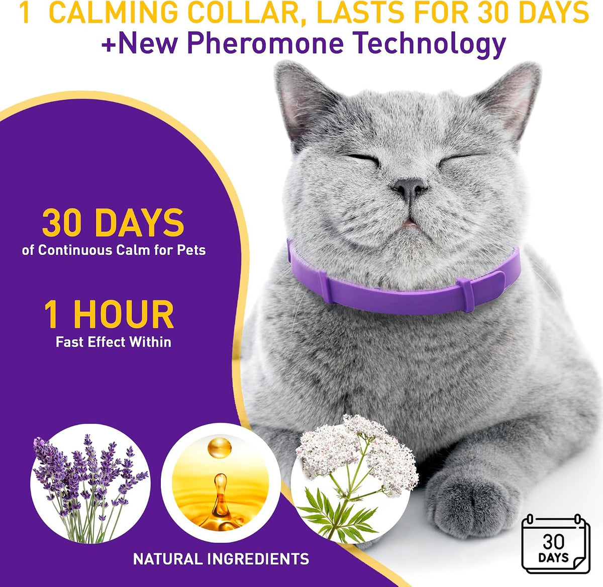Four pack of PetAtlas calming collars laid out with dimensions