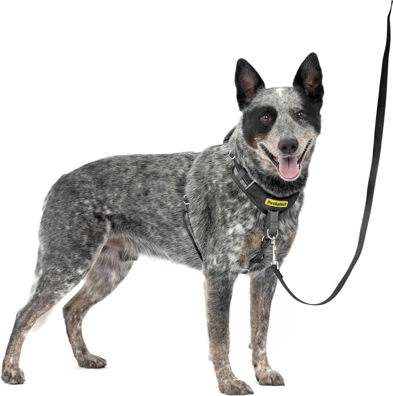 PetSafe Easy Walk Comfort No-Pull Dog Harness Full-Body Padding - Better Walks on the First Use - 5 Points of Adjustment Medium, Blue - Image 15