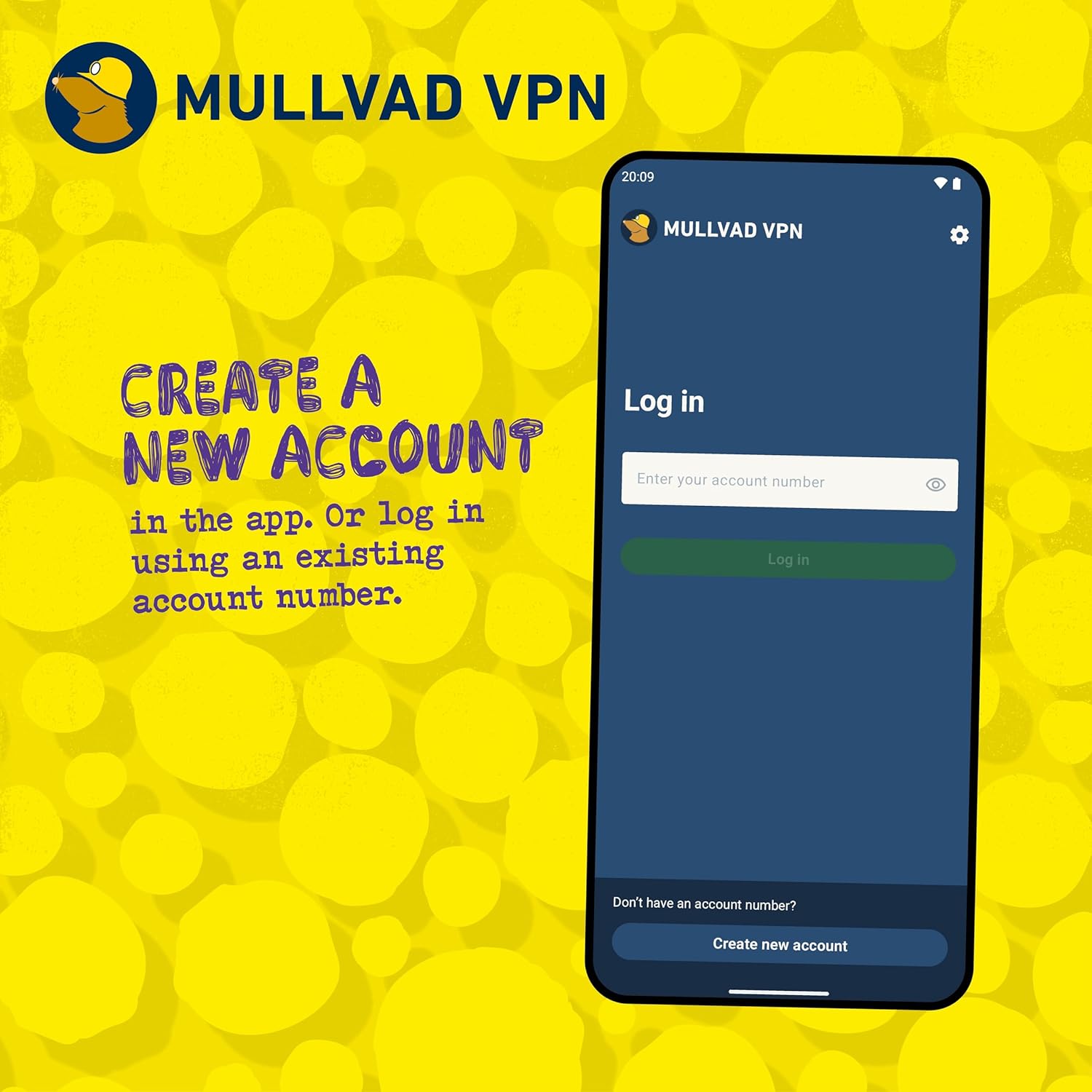 Authentic Mullvad privacy software card displaying subscription terms.