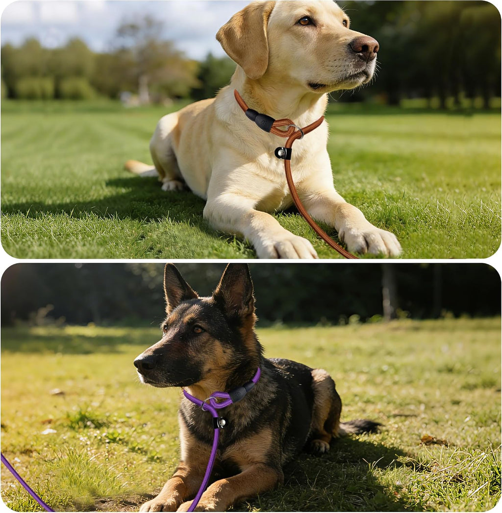 FOVRLZSE multi color nylon rope slip leads demonstrating the collar free quick release feature.