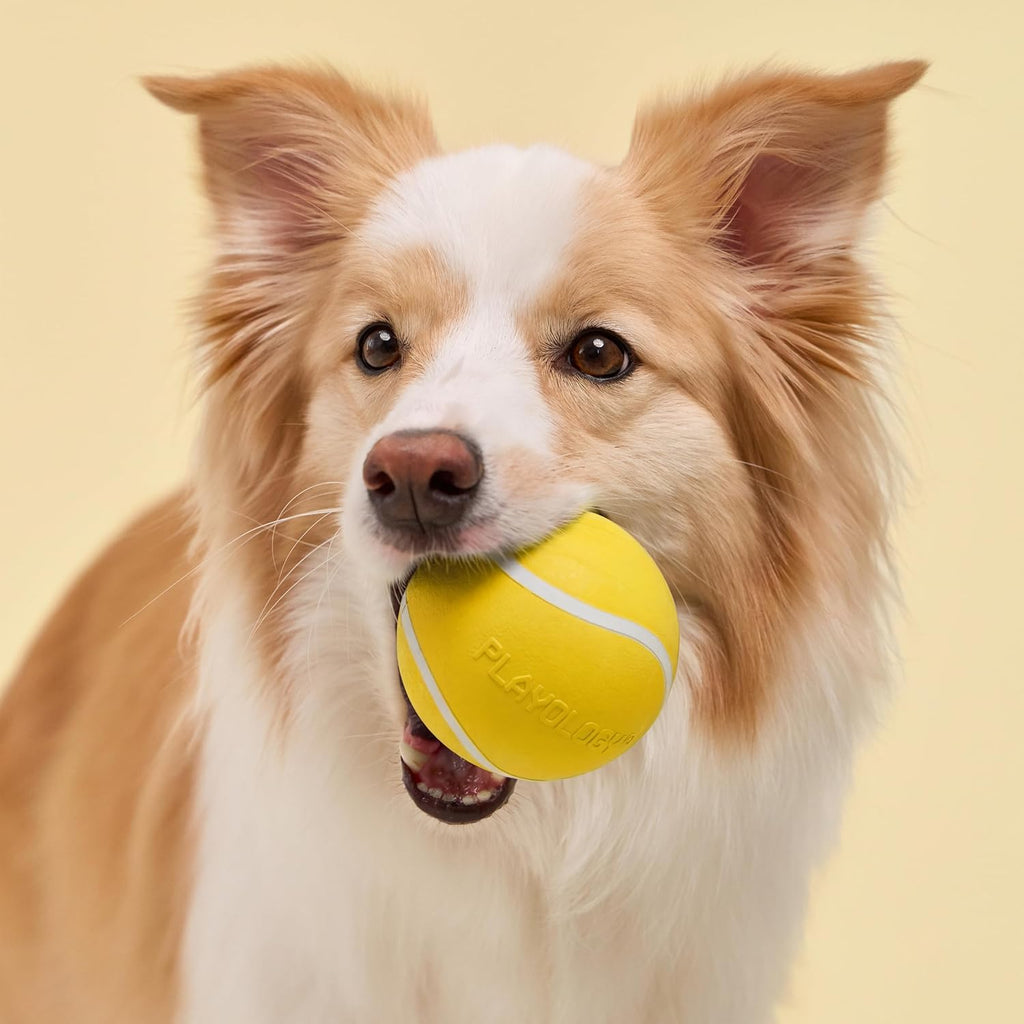 Close up of Playology rubber chew ball texture and squeaker