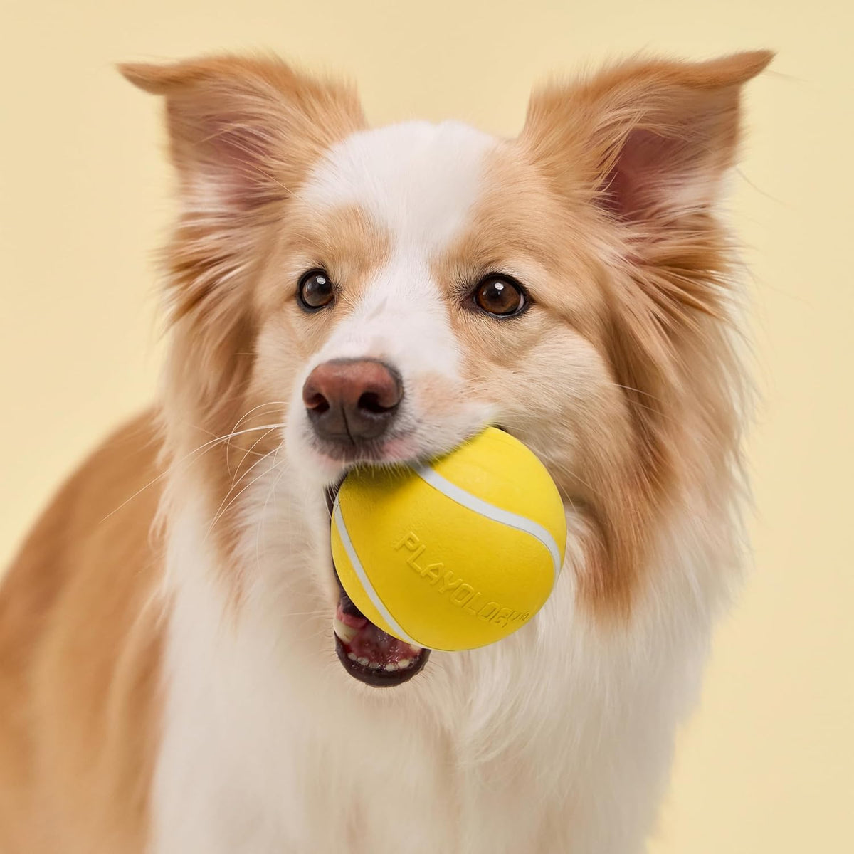 Close up of Playology rubber chew ball texture and squeaker