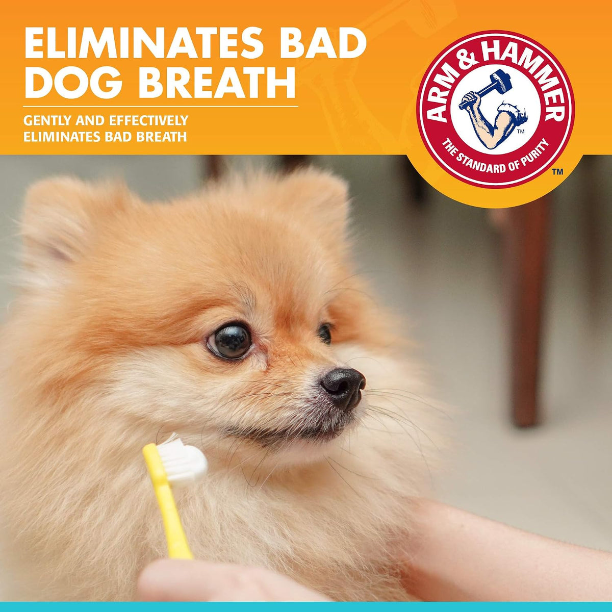 Arm and Hammer dog dental gel 2.5 ounce tube packaging