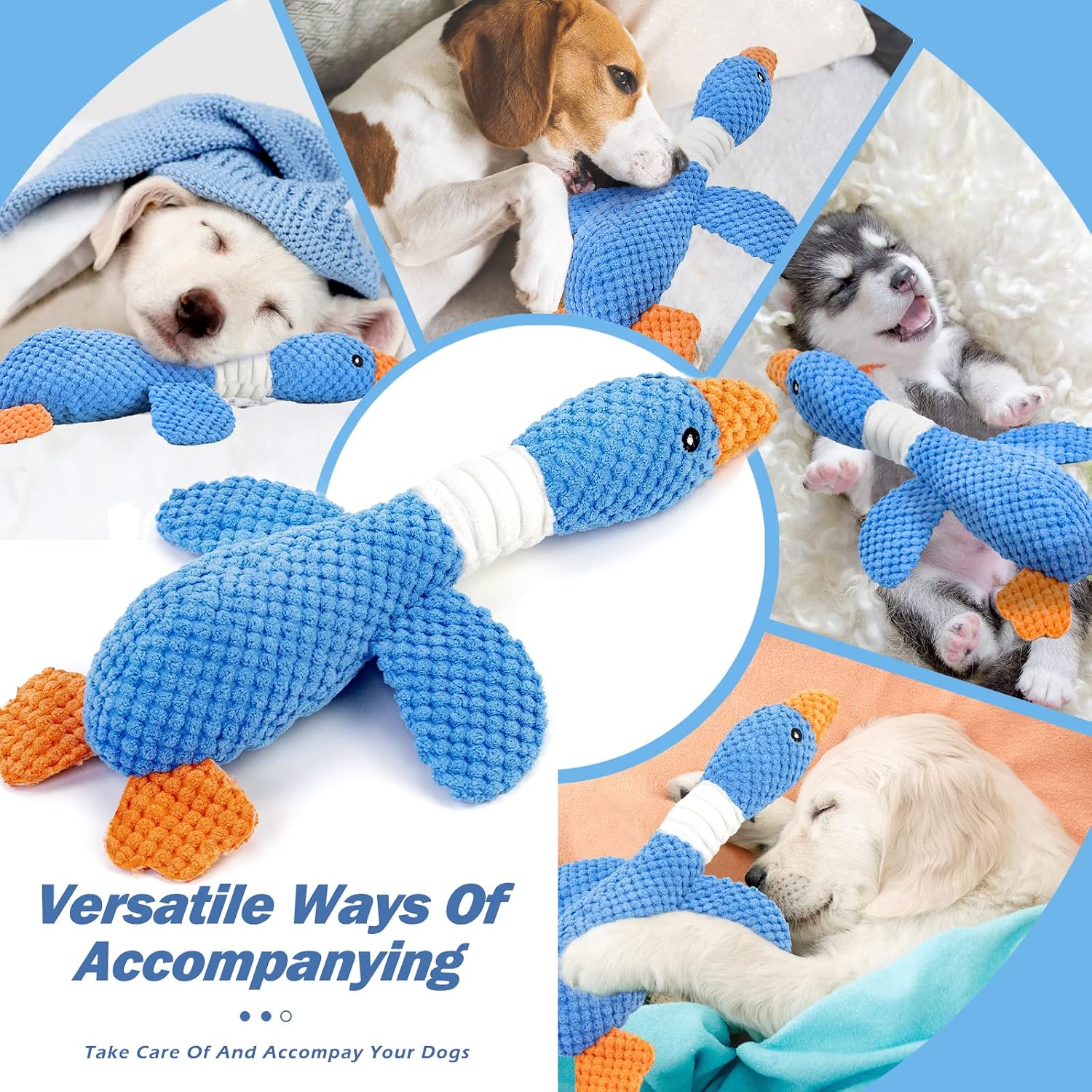 Educational graphic showing squeaker and crinkle paper placement in Vitscan toy