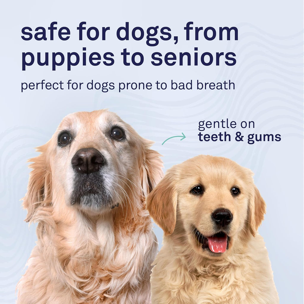 Close up of Petpost dog dental foam label