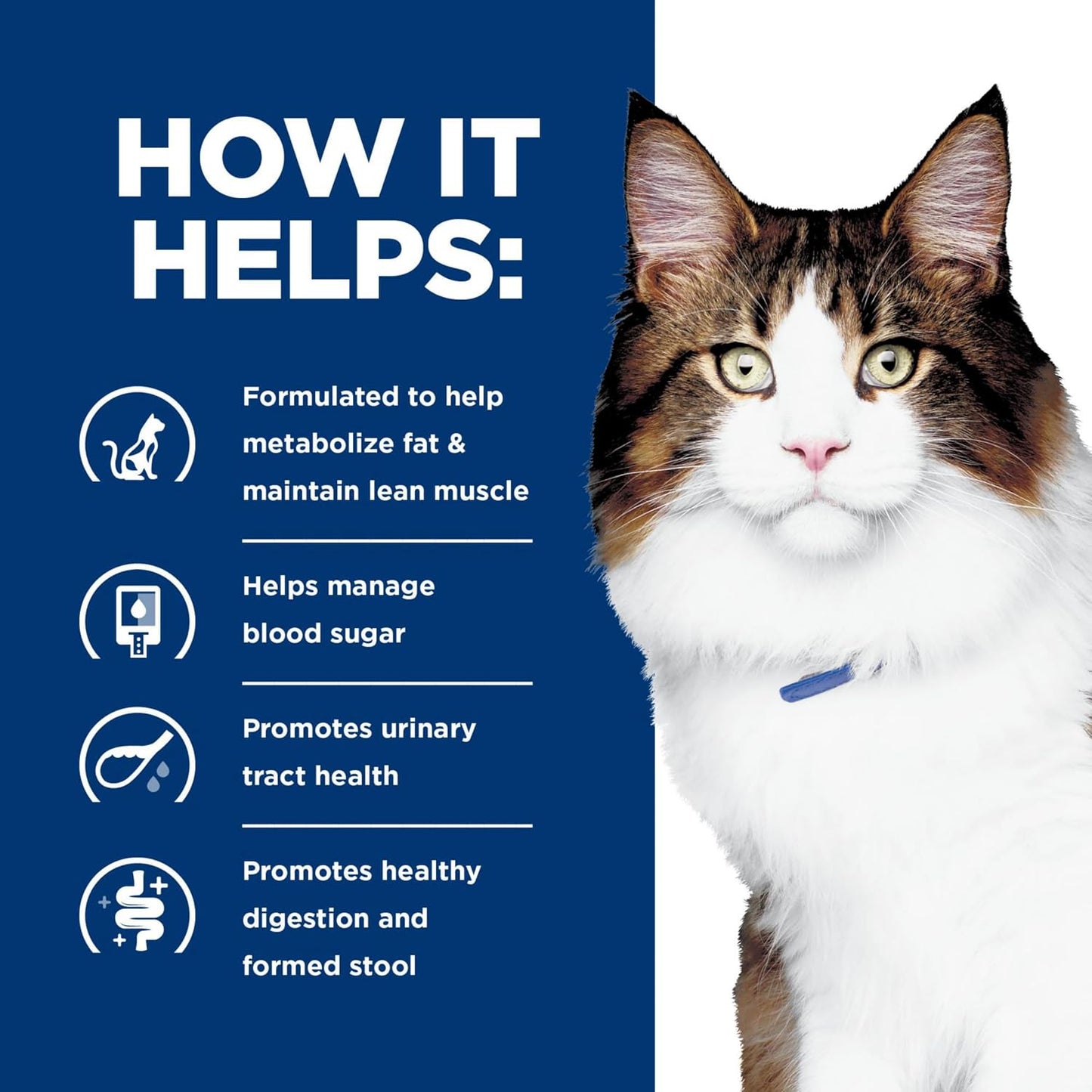 Hill's Prescription Diet w/d dry feline food high fiber chicken recipe packaging layout