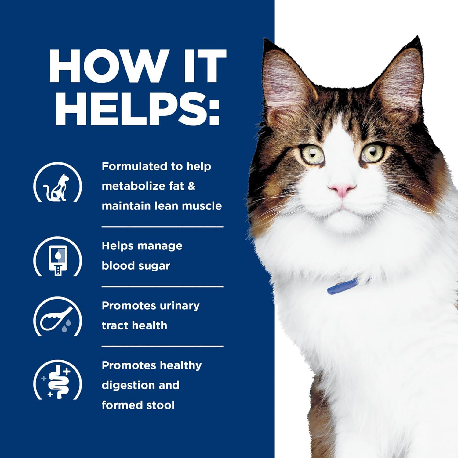Hill's Prescription Diet w/d dry feline food high fiber chicken recipe packaging layout