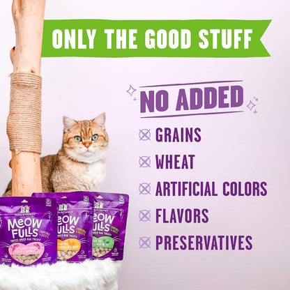 Authentic USA imported Stella and Chewy's freeze dried raw treats for felines