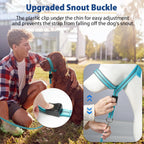 Turquoise dog mouth harness with matching four foot leash