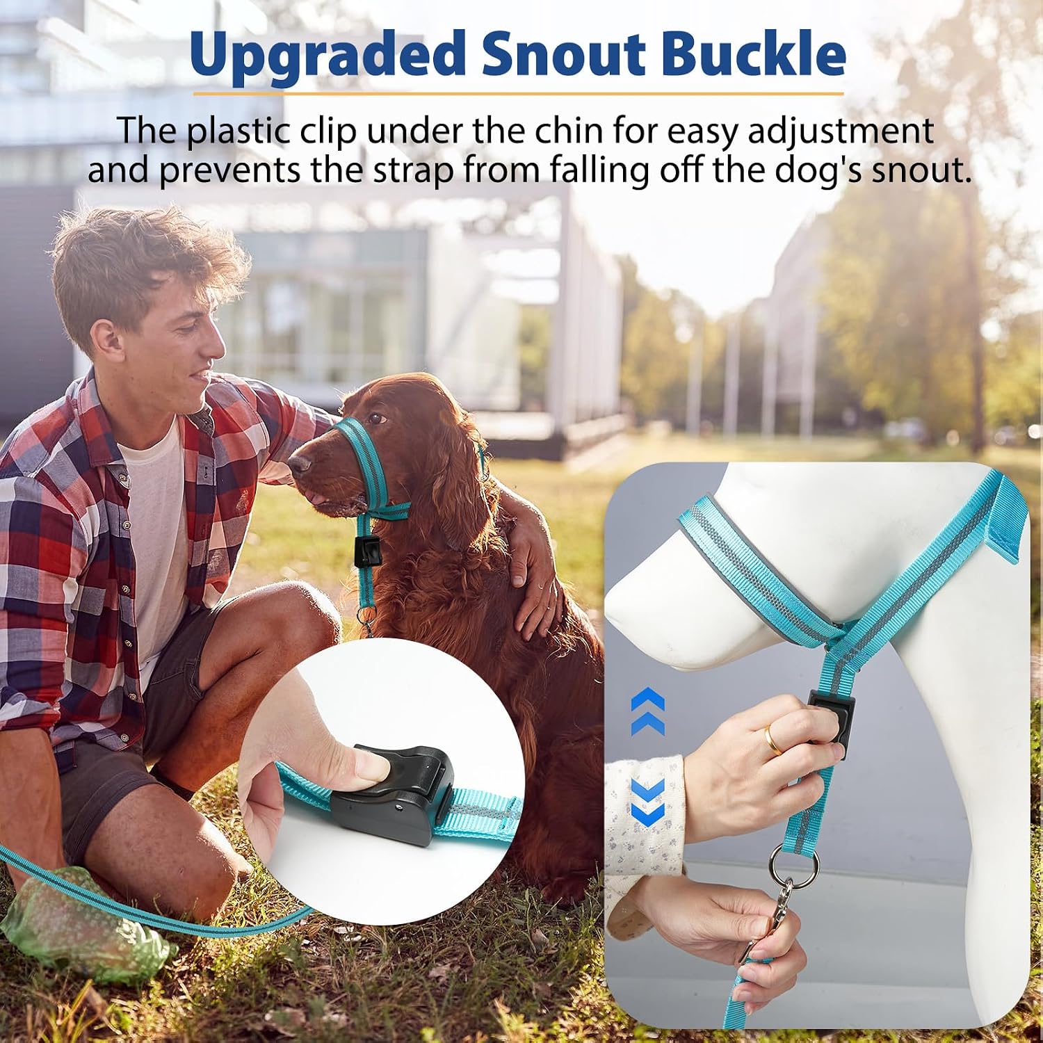 Turquoise dog mouth harness with matching four foot leash