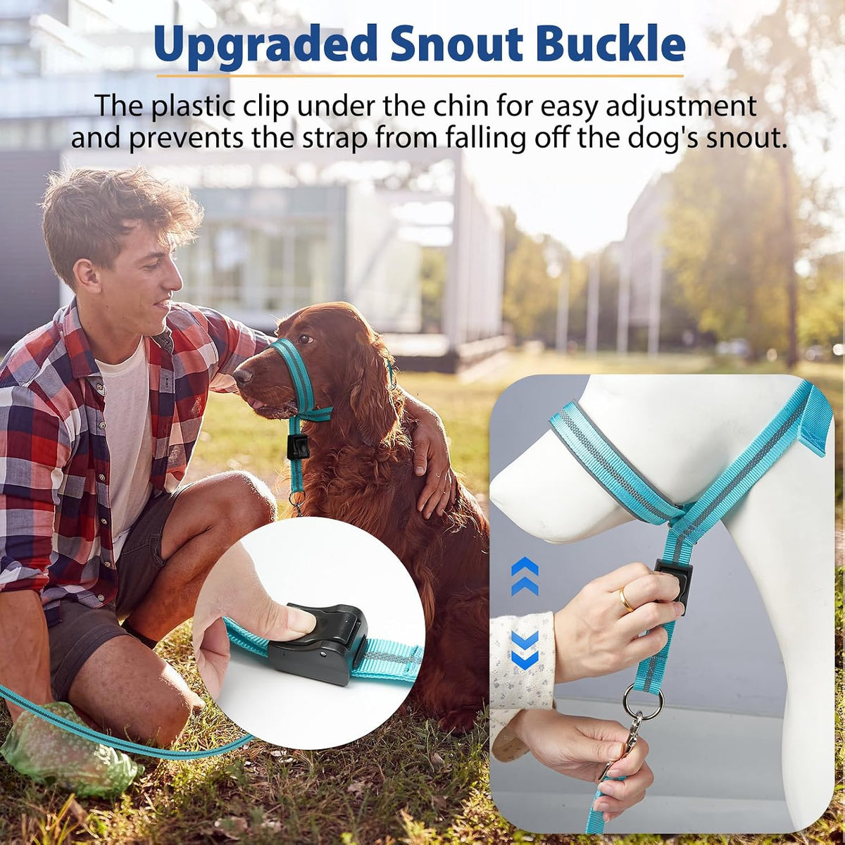 Turquoise dog mouth harness with matching four foot leash