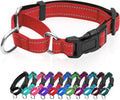 GDLKPS Reflective Martingale Dog Collar front view showing the dual-loop design and quick release buckle.