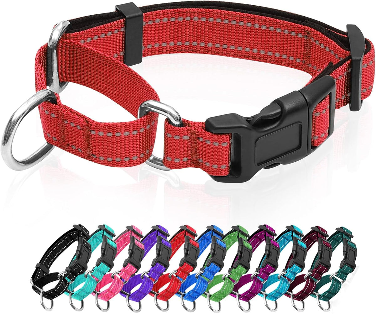 GDLKPS Reflective Martingale Dog Collar front view showing the dual-loop design and quick release buckle.